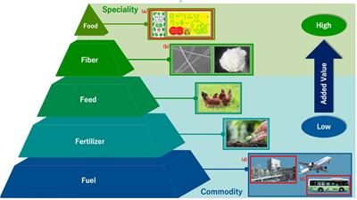 Genetic Engineering Strategies for Euglena gracilis and Its Industrial Contribution to Sustainable Development Goals: A Review